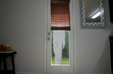 Сосед прет телочку, пока ее муж играет в приставку