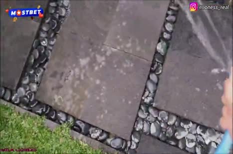 Блондинку с большой жопой чпокнули раком на диване #1