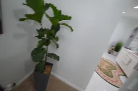 Порвал лосины на девушке и больно ее трахнул